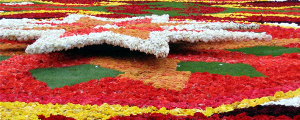 Floral carpet Brussels 2006